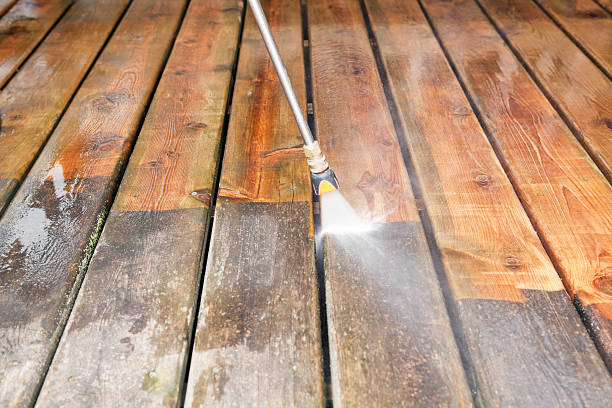 Best Dumpster Area Cleaning  in Ponce Inlet, FL